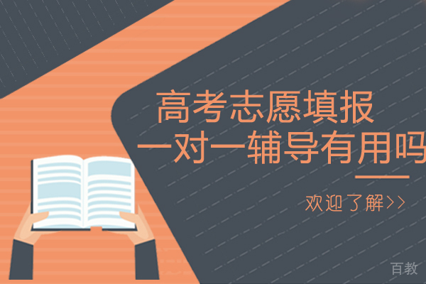 昆明高考志愿填报一对一辅导有用吗