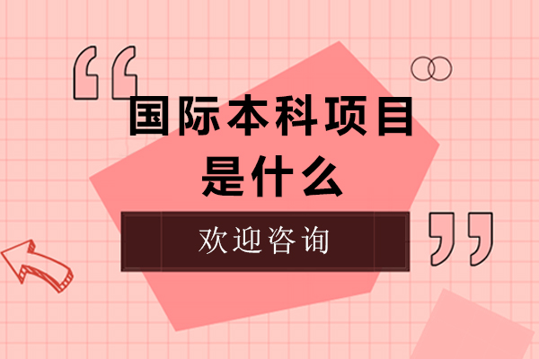 上海国际预科-国际本科项目是什么-靠谱吗