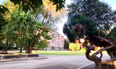 学校相册