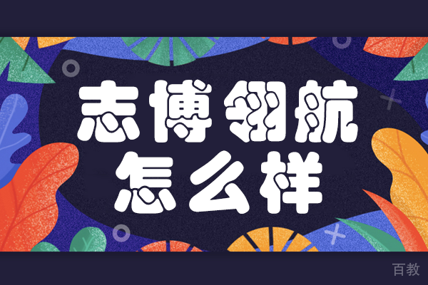 上海志博翎航国际教育课程特色深度解析