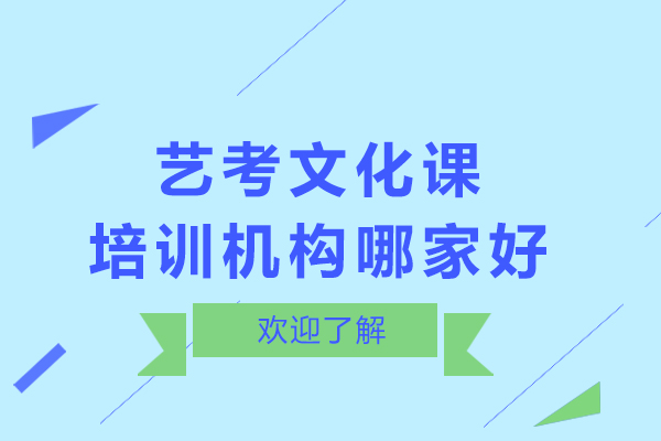 艺考文化课培训机构哪家好
