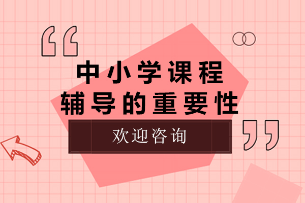 中小学课程辅导的重要性