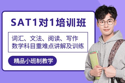 天津SAT1对1培训班