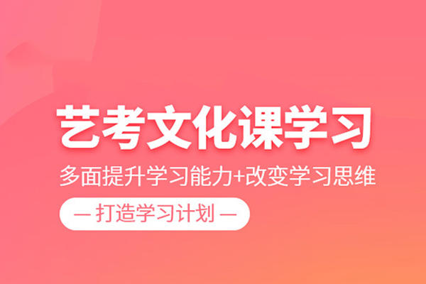 合肥艺考文化课培训班