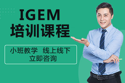 北京人工智能IGEM培训课程