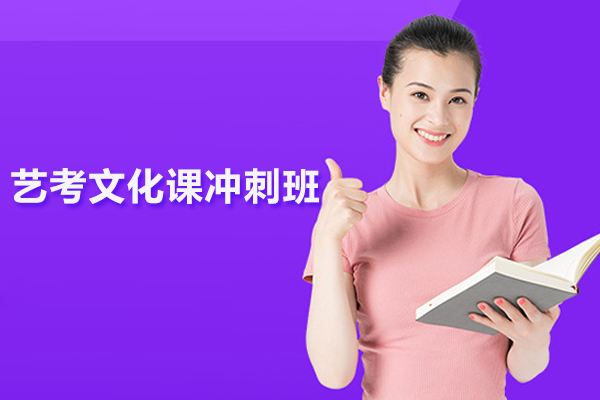 武汉艺考文化课冲刺班