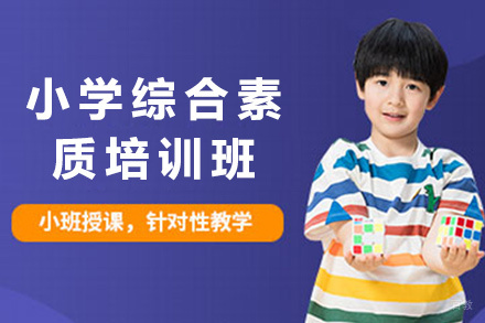 北京小学综合素质培训班