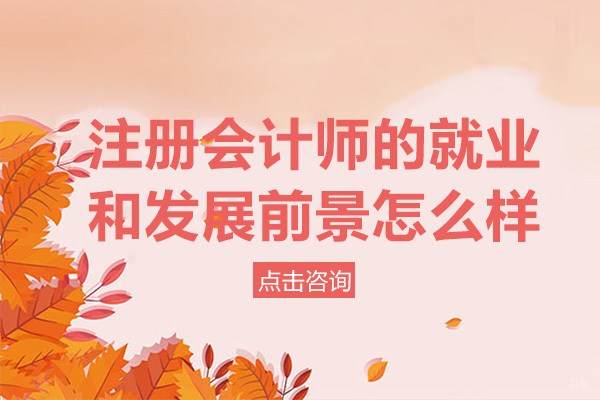 重庆注册会计师-重庆注册会计师的和发展前景怎么样