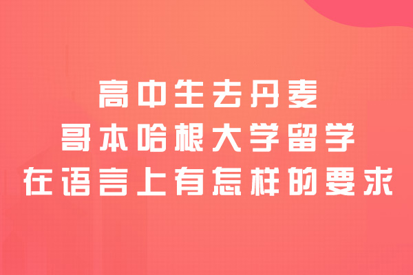 南昌高中生去丹麦哥本哈根大学留学在语言上有怎样的要求