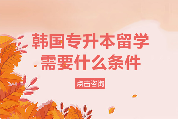 海口韩国专升本留学需要什么条件