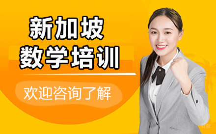 沈阳新加坡数学培训班