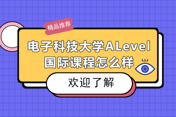 成都电子科技大学ALevel国际课程怎么样