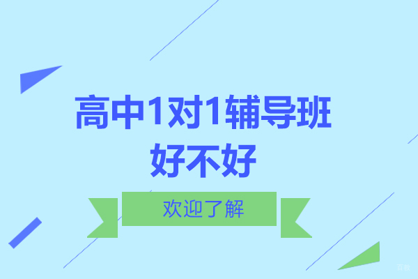 高中一对一辅导班好不好