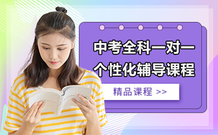 上海中考全科一对一个性化辅导课程