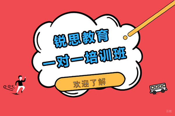 上海锐思教育一对一怎么样-靠谱吗
