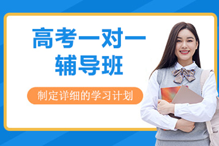 北京高考一对一辅导班