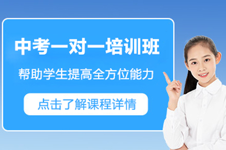 北京中考一对一培训