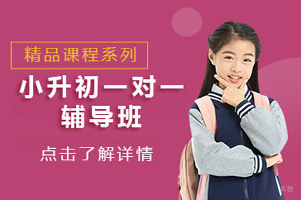 北京小升初一对一辅导班