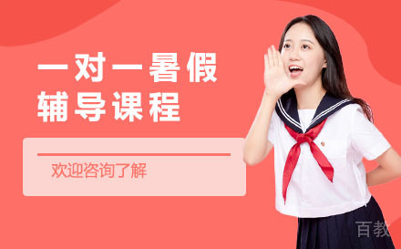 一对一暑假辅导班