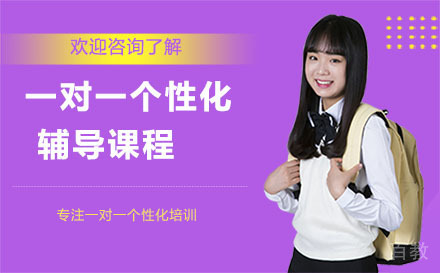 一对一个性化辅导班