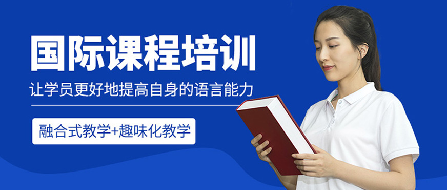 国际教育专家团队