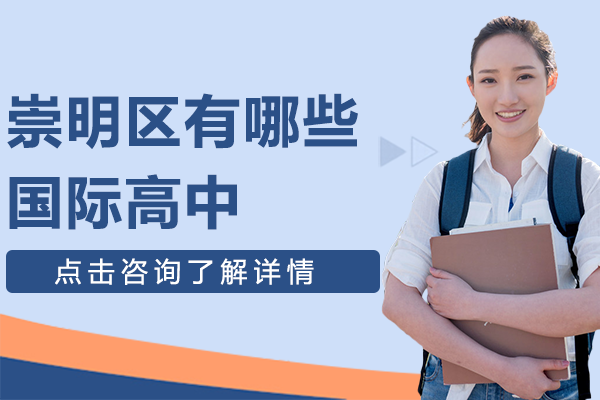 崇明区国际高中深度解析：上海新纪元双语学校课程体系与特色全览
