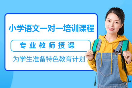 广州小学辅导小学语文一对一培训课程