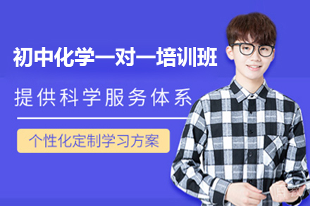 广州初中化学一对一培训班