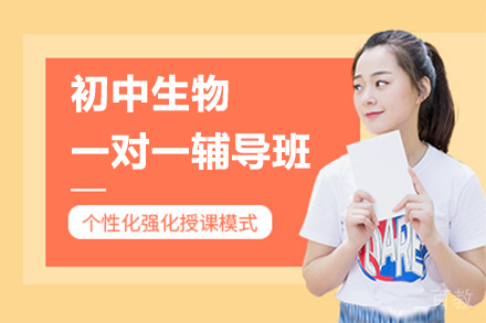 广州初中生物一对一辅导班