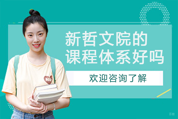 深圳新哲文院的课程体系好吗