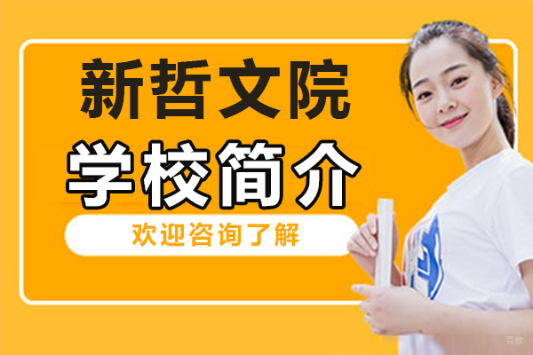 深圳新哲文院学校简介