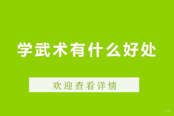 佛山-学武术有什么好处-学武术有前途吗