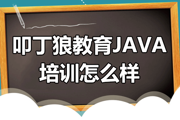 上海叩丁狼教育JAVA培訓怎么樣