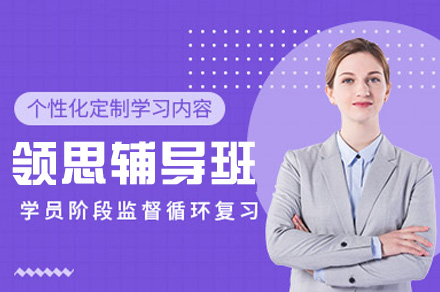 郑州领思辅导班