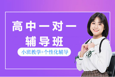杭州杭州高中一对一辅导班