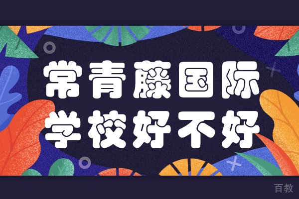 上海常青藤国际学校好不好
