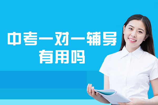 乌鲁木齐中考一对一辅导有用吗-哪家好