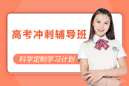 广州高考冲刺辅导班