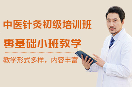 北京中医医师中医针灸初级培训班