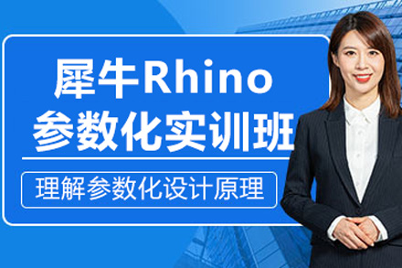 北京电脑rhino培训班