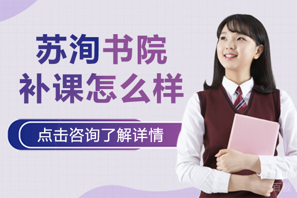 上海苏洵书院补课怎么样