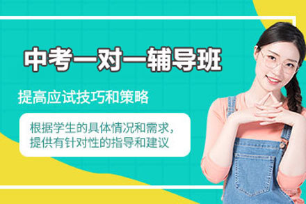 北京中考一对一辅导班