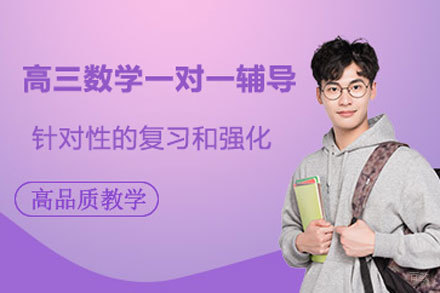 北京高三数学一对一辅导