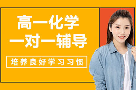 北京高一化学一对一辅导