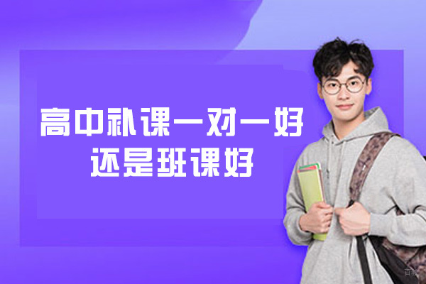 高中补课一对一好还是班课好-哪个适合高中生
