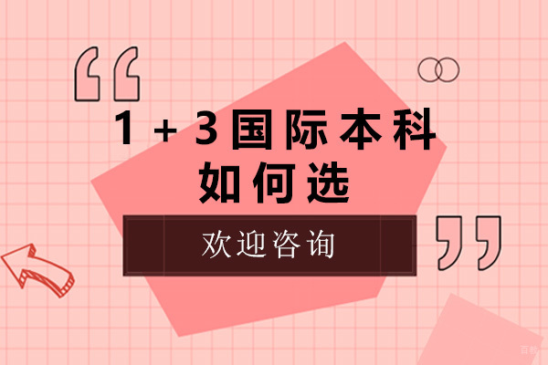 上海国际预科-上海1+3国际本科如何选
