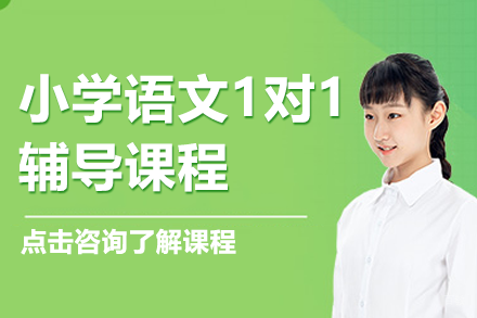 北京小学语文1对1辅导课程