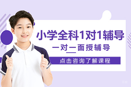 北京小学全科1对1辅导课程