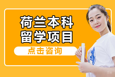 杭州荷兰本科留学项目