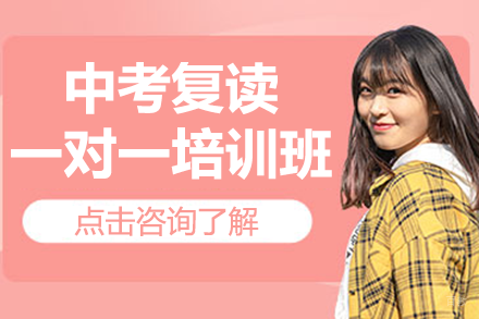北京中考复读一对一培训班